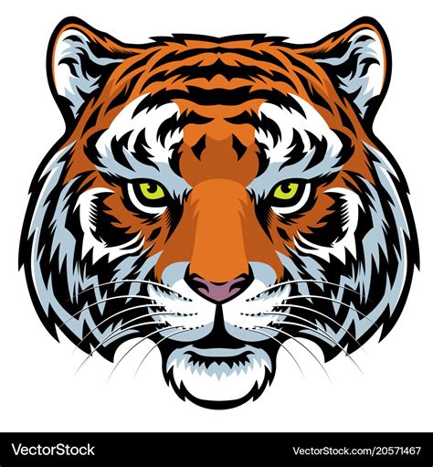 Tiger Head Royalty Free Vector Image Vectorstock