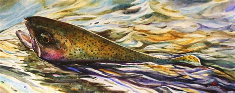 Rainbow Trout Watercolor Print Fish Art By Dean Crouser