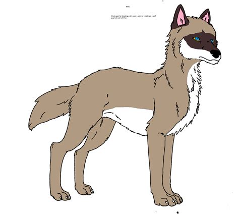 My Wolf Oc That I Adopted Named Muik By Natalia Clark On Deviantart