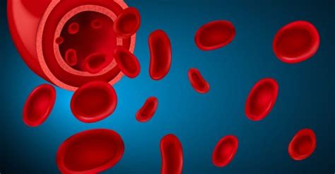 Dangers Of High Or Low Monocytes And How To Deal With