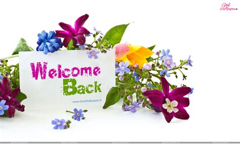 Welcome Back Wallpaper Free Download
