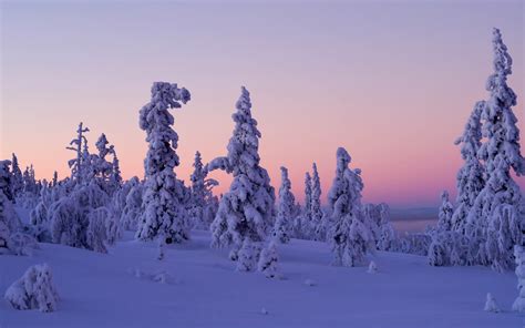 Обои Levi Lapland Finland Леви Лапландия Финляндия зима снег