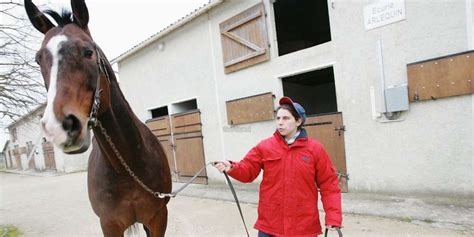 Les Haras Nationaux Sur Le Départ