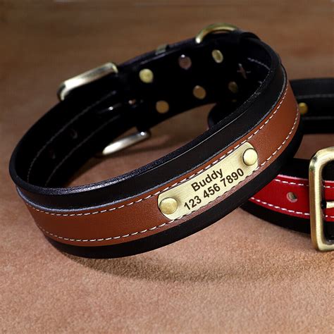 Soft Leather Padded Pet Dog Collars Personalised Custom Nameplate 5