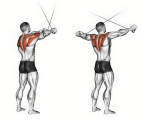 The Cable Rear Delt Fly How To Maximize This Rear Delt Exercise