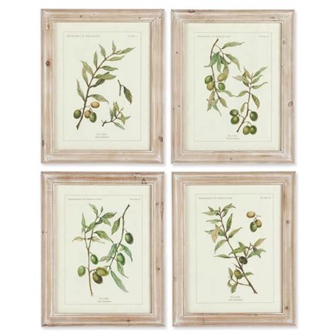Althea French Country Wooden Olive Leaf Botanical Framed Prints Set