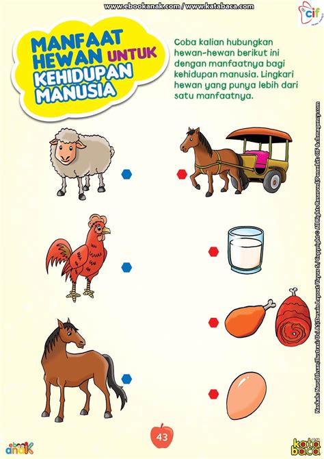 Contoh Gambar Benda Mati Dan Benda Hidup Beinyu Com