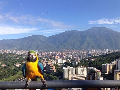 10 Places To Visit In Venezuela