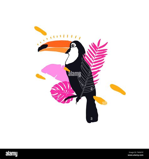 Vector Illustration Toucan Exotic Birds Tropical Flowers Palm