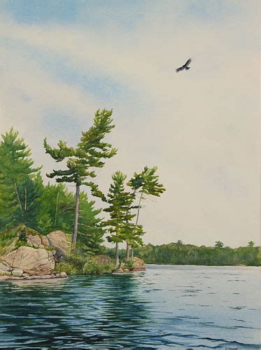 Featured Paintings By Debbie Homewood Canadian Watercolor Artist