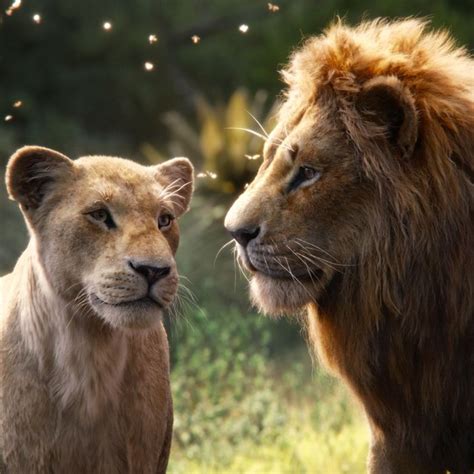 In the african savanna, a future king is born. The Lion King 2019: Review