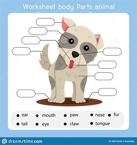 Body mobil dan kebersihan mobil. Illustrator Of Worksheet Body Parts Dog Animal Stock ...