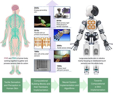 Neuro Inspired Electronic Skin For Robots Science Robotics