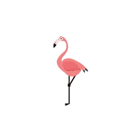 Pink Flamingo Vector Painting Pink Flamingo Long Legs Png
