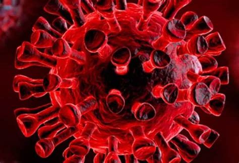 Meteo E Coronavirus Perché Il Il Caldo Dellestate Non Ha Fermato Il