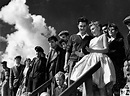 Filmdetails: Ein Sommertag macht keine Liebe (1960) - DEFA - Stiftung