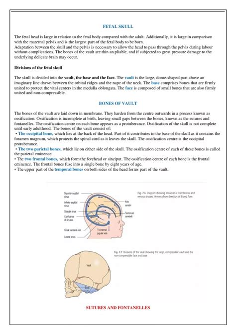 Anatomy Of Fetal Skull Class Notes Cm Certified Midwife Stuvia Us