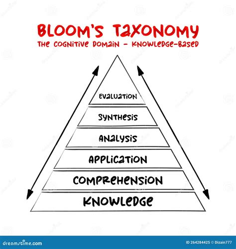 Hand Drawn Bloom`s Taxonomy The Cognitive Domain Knowledge Based