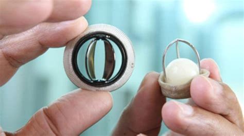 The Prosthetic Heart Valve Artificial Heart Valve Market Is Expected