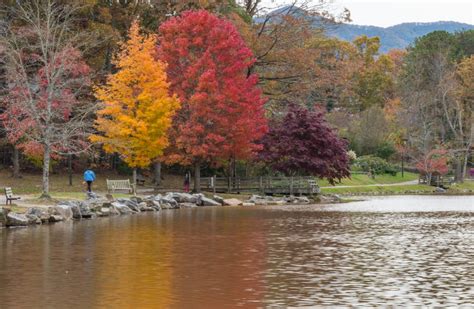 Asheville 2018 Fall Color Report And Forecast Scenic Views Asheville
