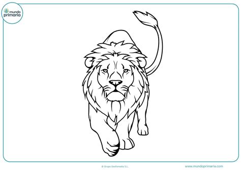 35 Para Colorear Dibujos De Leones Rugiendo