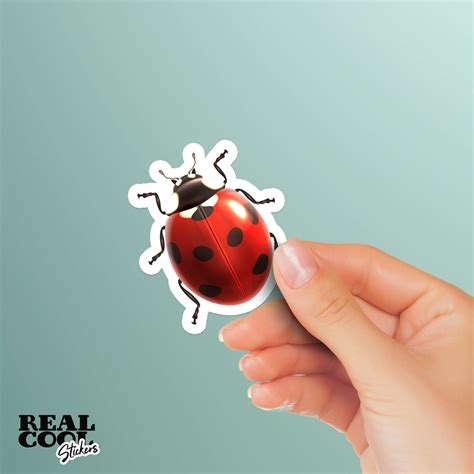 Ladybug Sticker Ladybug Decal Vinyl Ladybugs Insect Etsy