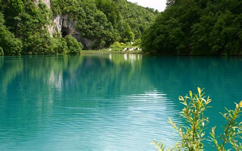 Картинки Озеро природа пейзаж вода зелень обои 2560x1600