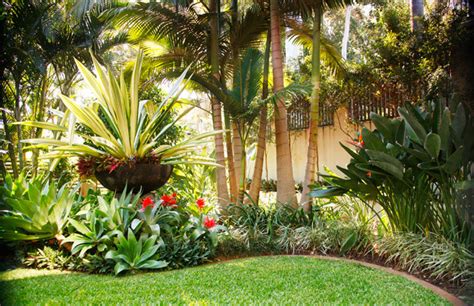 Tropical Landscape Design Ideas Gardening Flowers 101