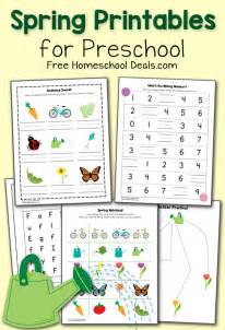 Spring Activities Printables Printable Word Searches