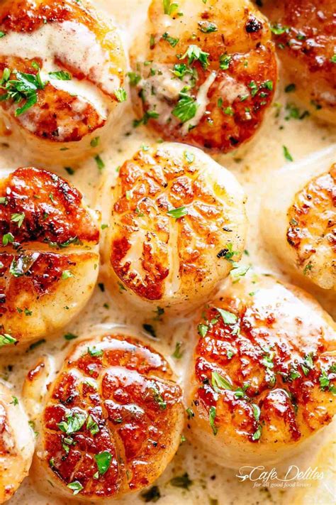 An easy baked sea scallops recipe with a crispy low carb and gluten free topping. 110 Best Keto Seafood Recipes - Low Carb & Gluten Free ...