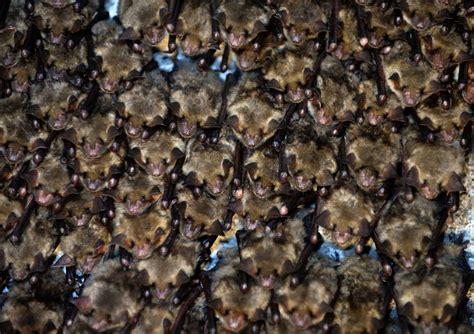 From Hits to Has-Beens: 24 Once-Popular TV Shows People Don’t Care