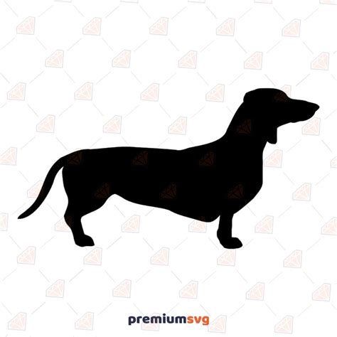 Dachshund Svg Wiener Dog Svg Clipart File Premiumsvg