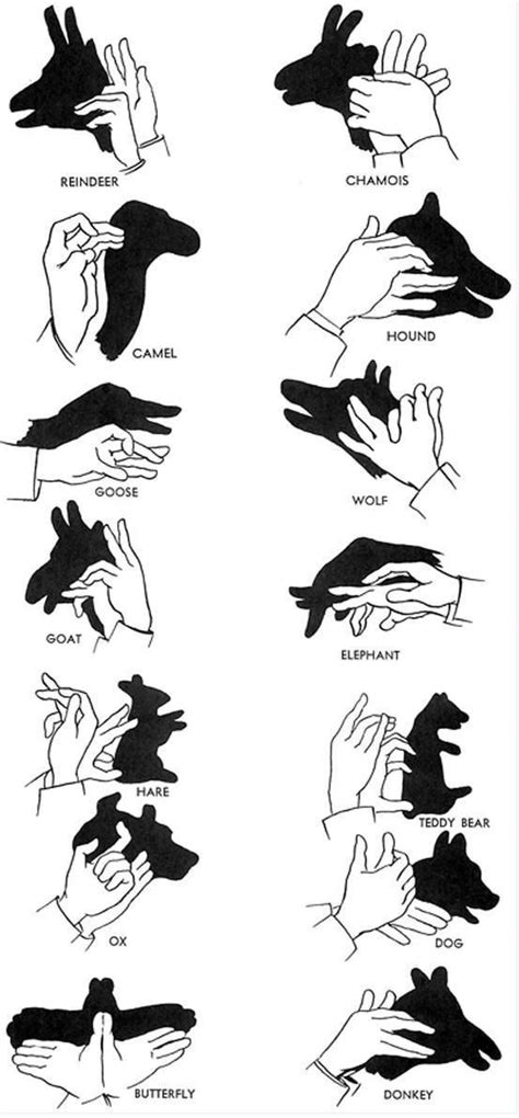 How To Make Animal Shadows With Your Hands Hand Shadows Shadow