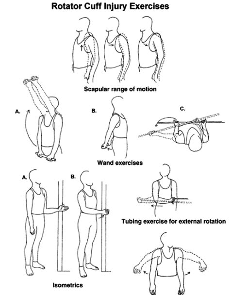 Exercise For Musculoskeletal Conditions Rotator Cuff Rotator Cuff