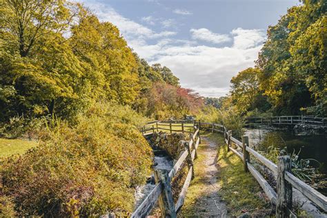 Best New England Fall Foliage Webcams