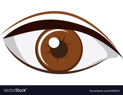 Colorful Silhouette Light Brown Eye With Eyebrow Vector Image