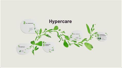 Hypercare Process By Raine Yvangeline On Prezi Video