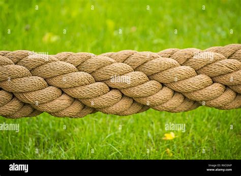Thick Rope With Green Background Stock Photo Alamy
