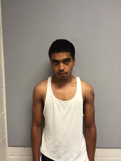 Joliet Teens Nabbed For String Of New Lenox Burglaries Cops New Lenox Il Patch