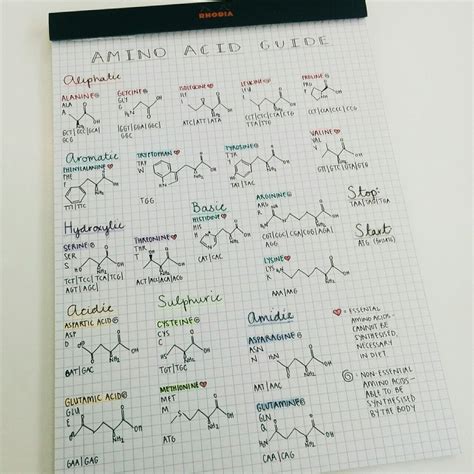 Vamymoca17 Studiiology Made An Amino Acid Cheat Sheet To Refer To