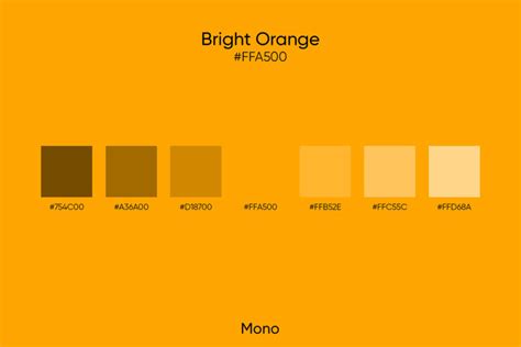 Bright Orange Shades Palettes And Similar Colors Picsart Blog