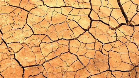6 Common Causes Of Dry Skin