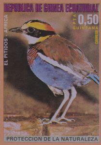 Stamp Malay Banded Pitta Hydrornis Irena Equatorial Guinea African