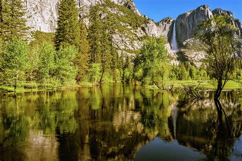 Yosemite Reflections On The Merced River Photograph By John Hight