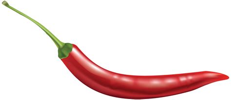 Chili Pepper Clipart At Getdrawings Free Download