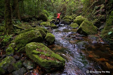 Getting To Know Graskop The Fanie Botha Hiking Trail And More