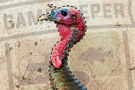 Tips For Patterning Your Turkey Gun Gary Howey S Outdoors