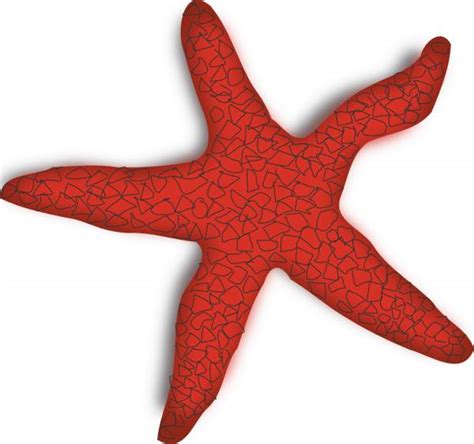 Free Starfish Clip Art