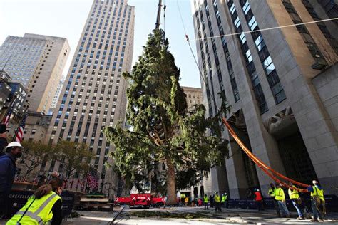 Rockefeller Tree Lighting 2020 What To Know The New York Times