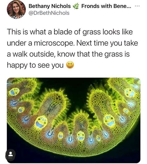 Grass Loves You GAG